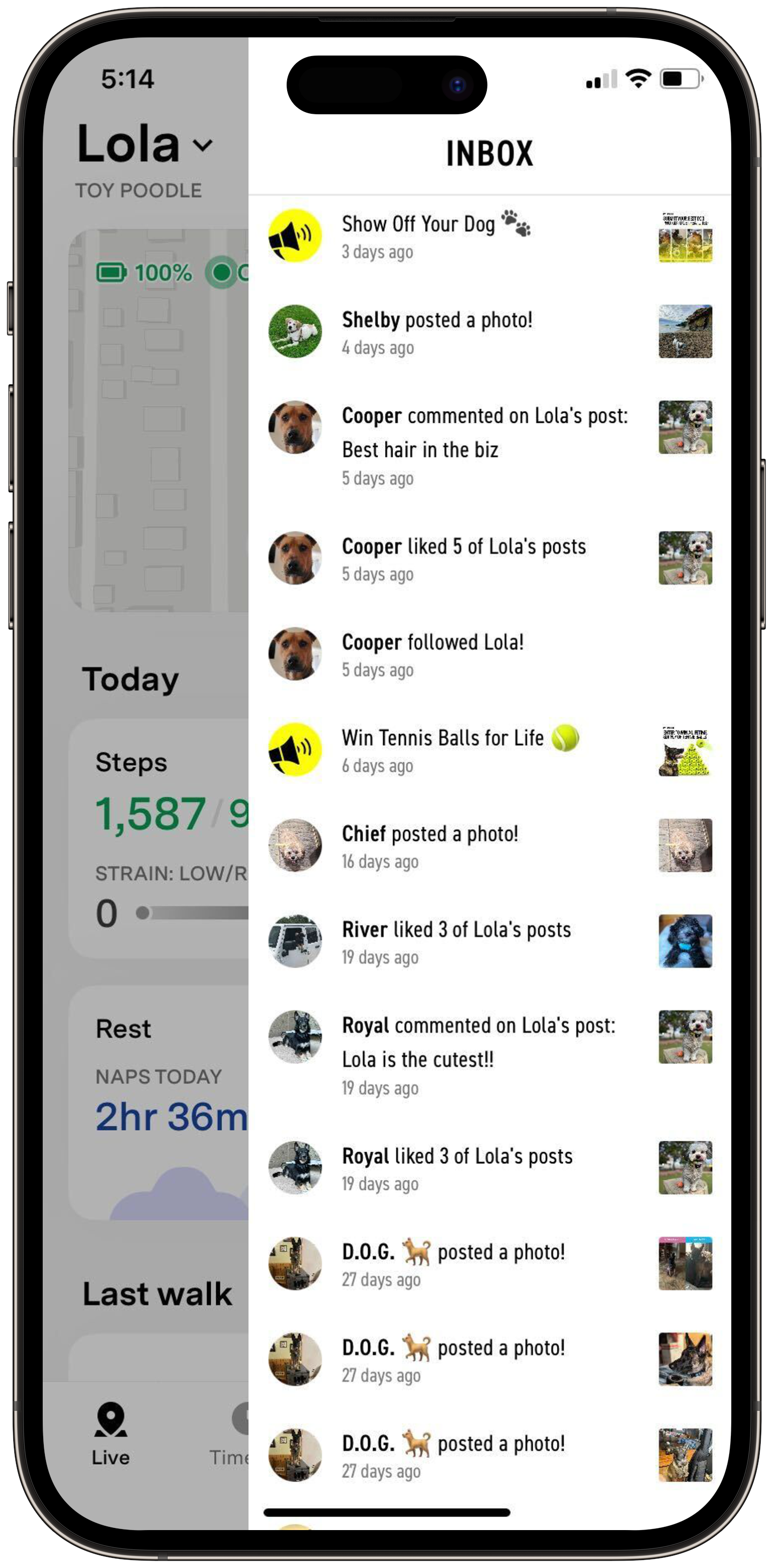 LiveTab_Inbox_Notifications.png