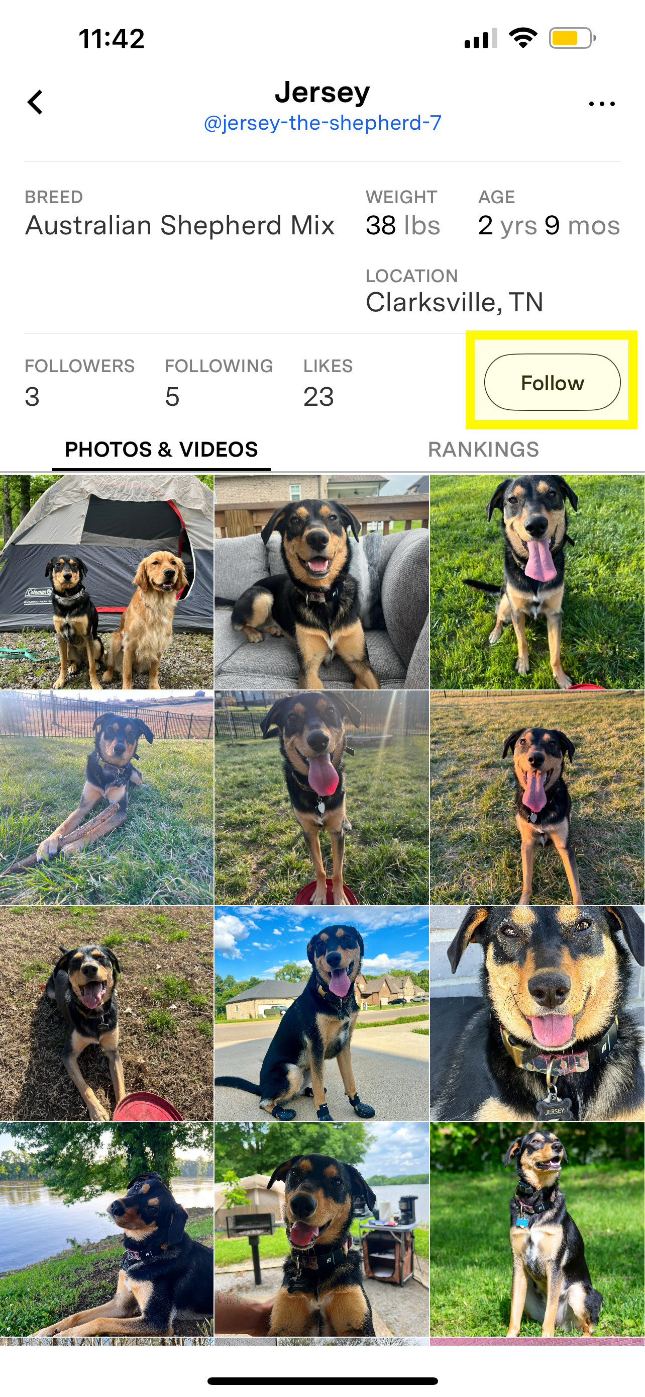 Follow highlighted on profile page