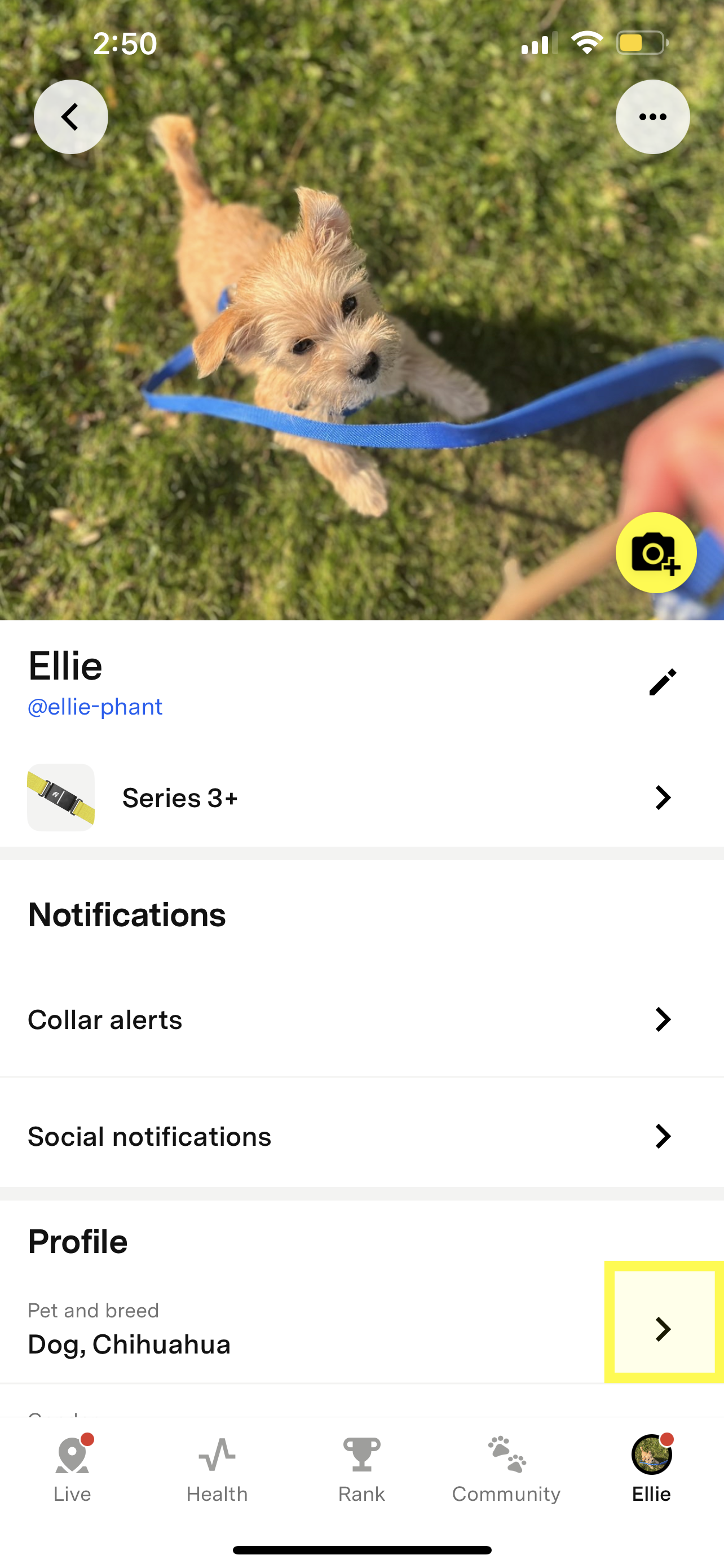 Fi app pet profile settings screen showing device, notification options, and breed info row highlighted