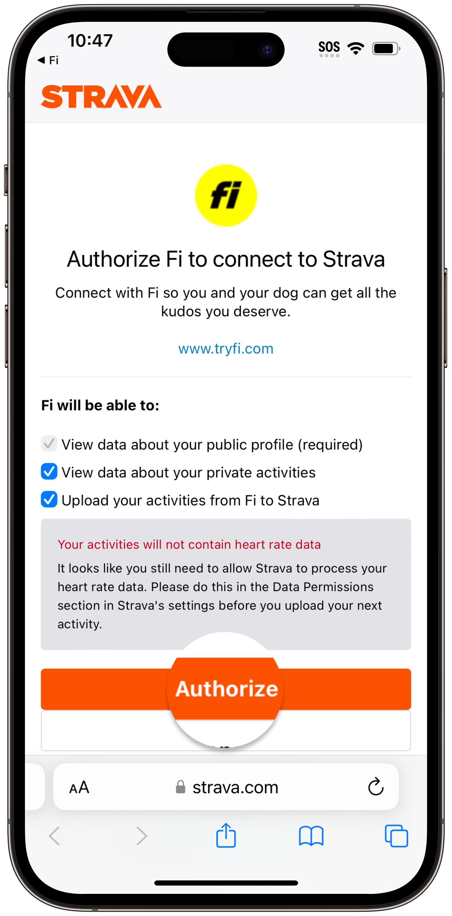 Strava authorization screen in browser requesting permission for Fi to access activity data with an Authorize button
