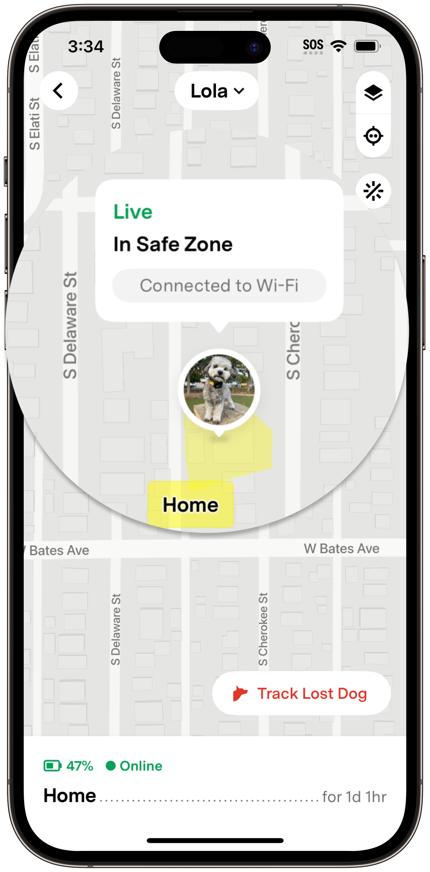 Fi app Live tab map showing a pet is Live, In Safe Zone, and Connected to Wi-Fi with a Track Lost Pet button