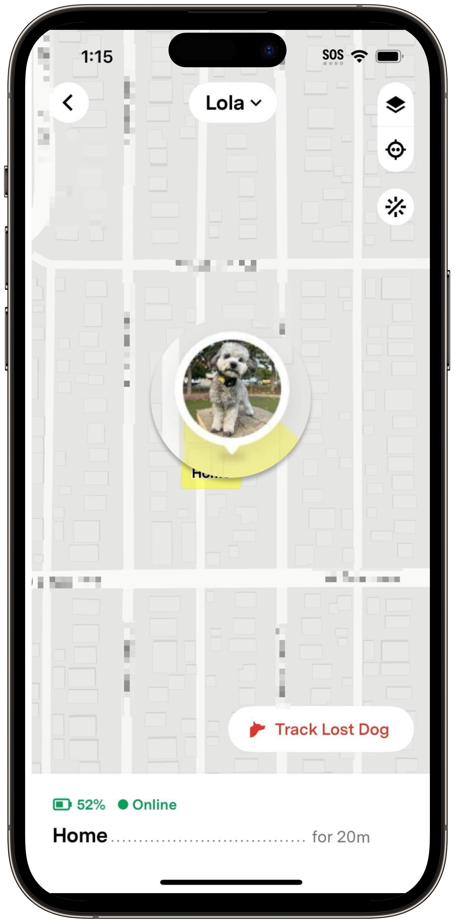 Fi app Live tab map showing a pet's location as Home with a Track Lost Pet button visible