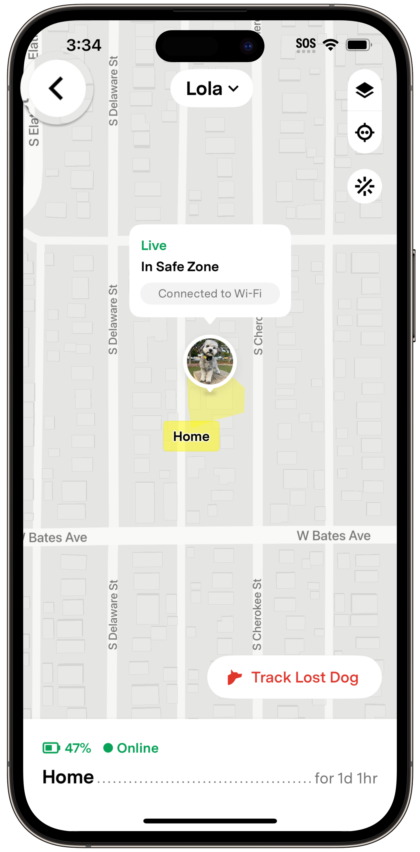 Full map view showing a pet's location in a safe zone