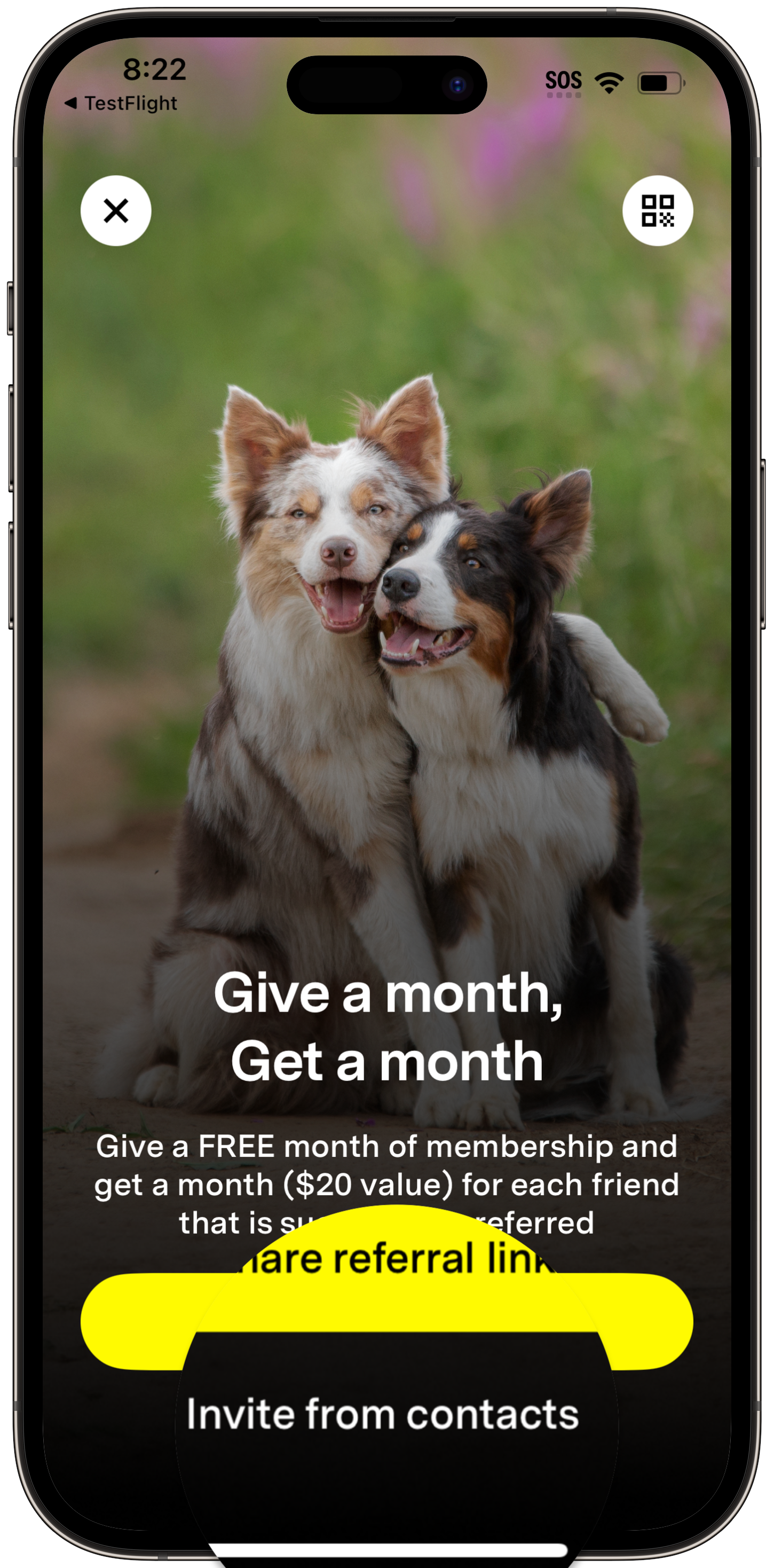 Invite from contacts.png