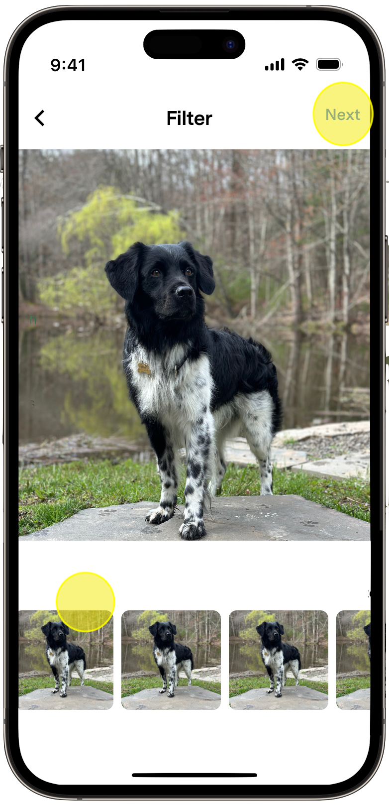 photo filter selection screen