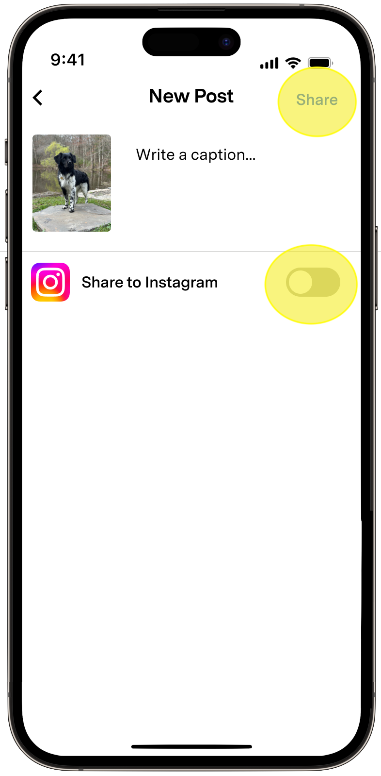 Fi app Community New Post screen showing a caption field, Share to Instagram toggle, and Share button highlighted