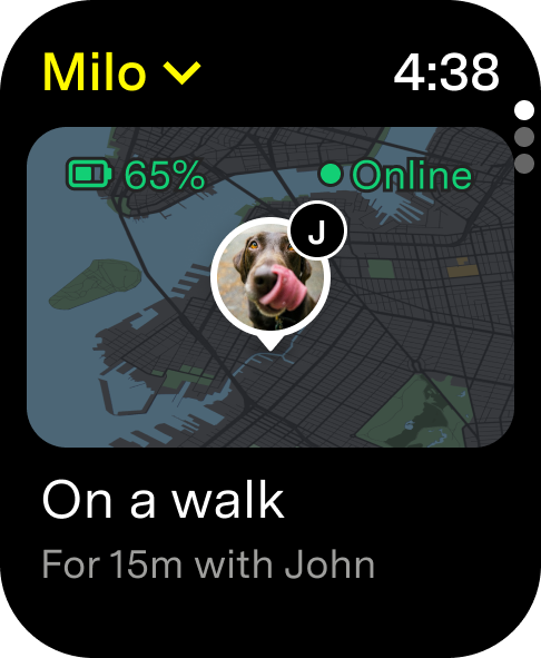 Fi Apple Watch app showing pet is online and on a walk with a map view and battery status