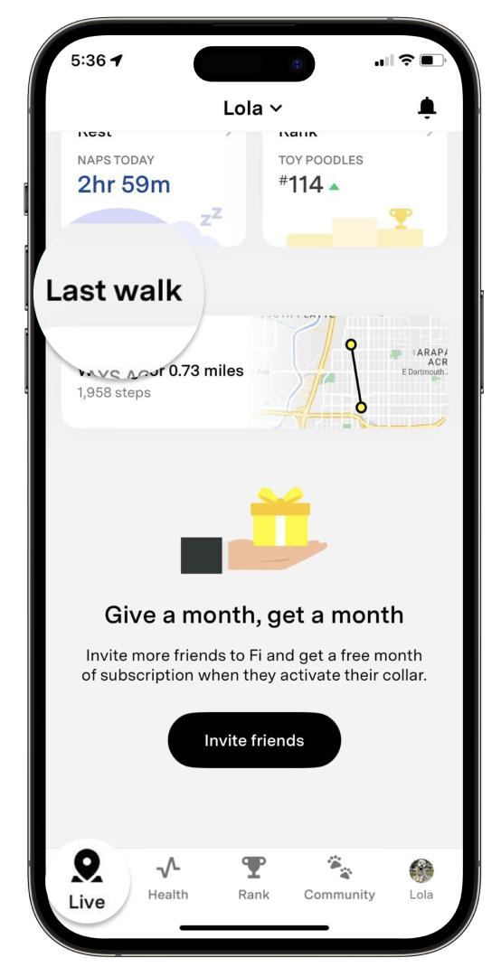 Last Walk Highlighted.png
