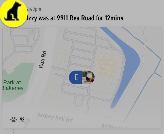 Rest card - Fi app location notification showing a pet was at a specific address with a map preview