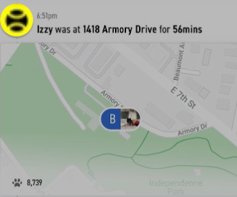 Play Card - Fi app location notification showing where a pet was playing with a map preview