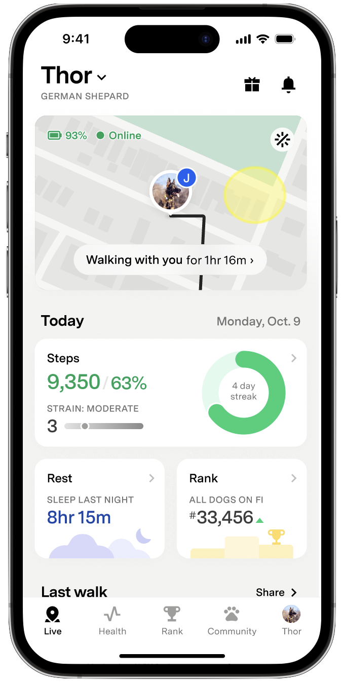 Fi app Live tab showing an active walk in progress, today's steps, strain score, rest summary, and rank