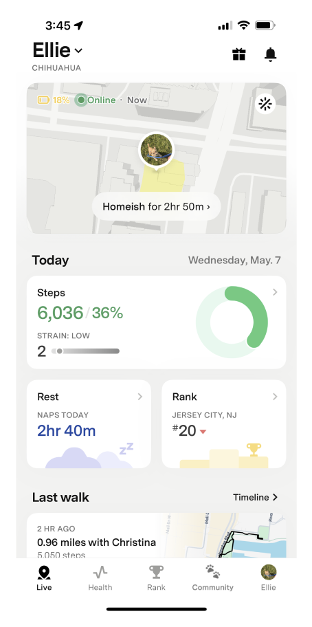 Fi app Live tab showing your pets location, today's steps, strain score, nap time, local rank, and last walk summary