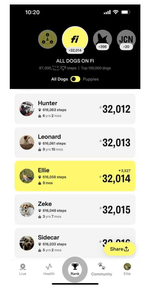 Rank Tab showing the 'All Dogs on Fi' leaderboard