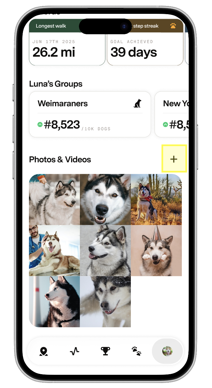 Profile Tab showing the Add Photo button to upload pet photos