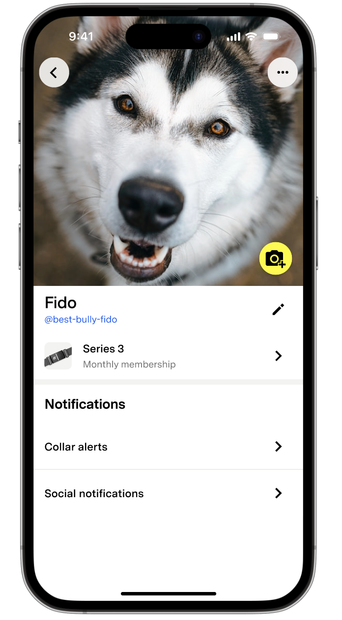 Fi app pet profile settings screen showing device membership details and notification options for collar alerts and social