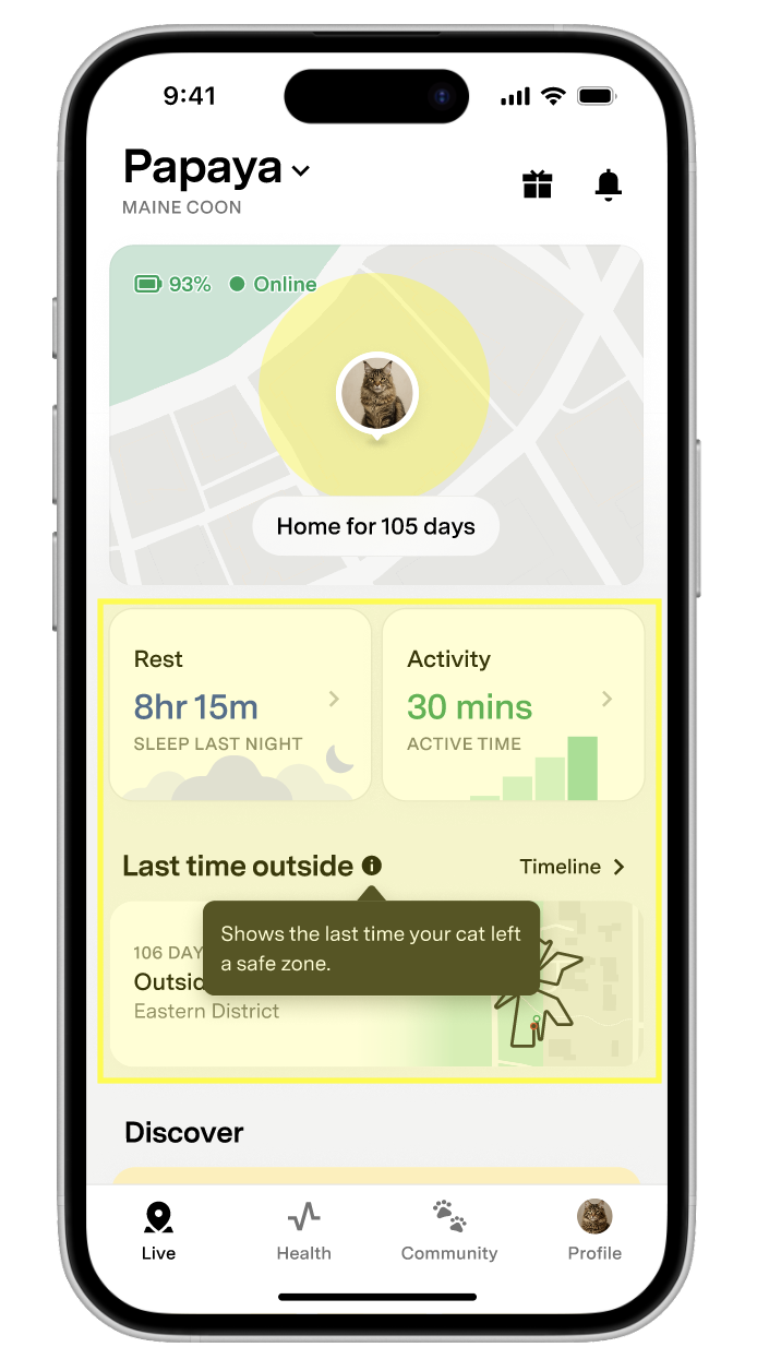 Cat profile with activity, rest, and timeline highlighted.png