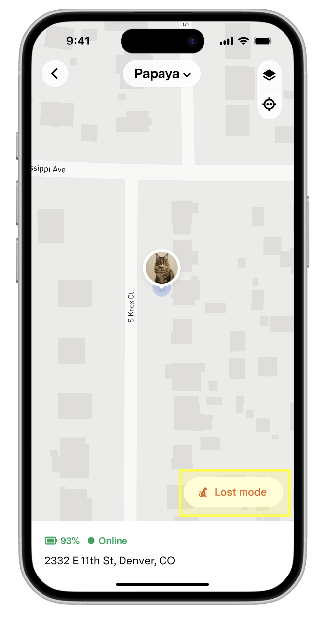 Lost mode highlighted - Cat.png