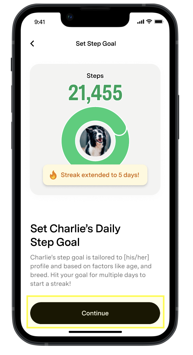 Step Goal splash page.png