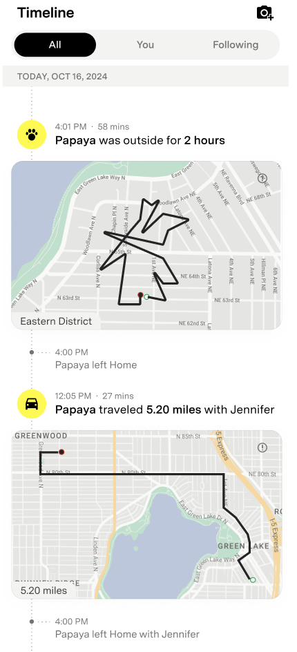 Cat timeline with ride & walk.png