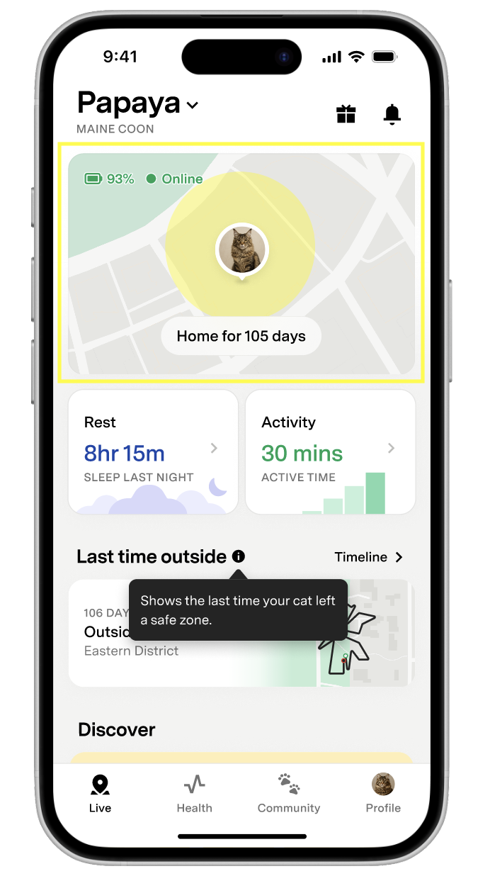 Cat profile with live map highlighted.png