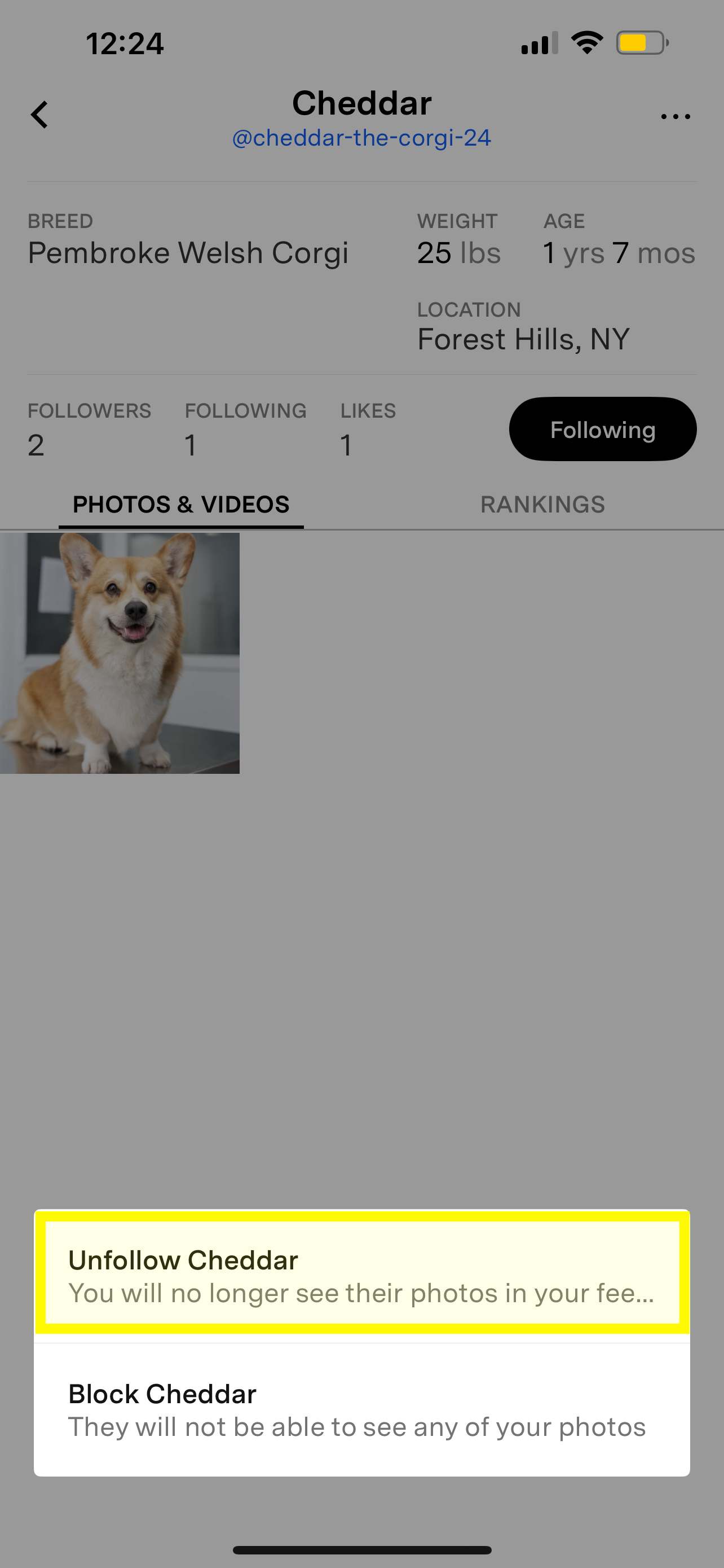 Unfollow pet highlighted