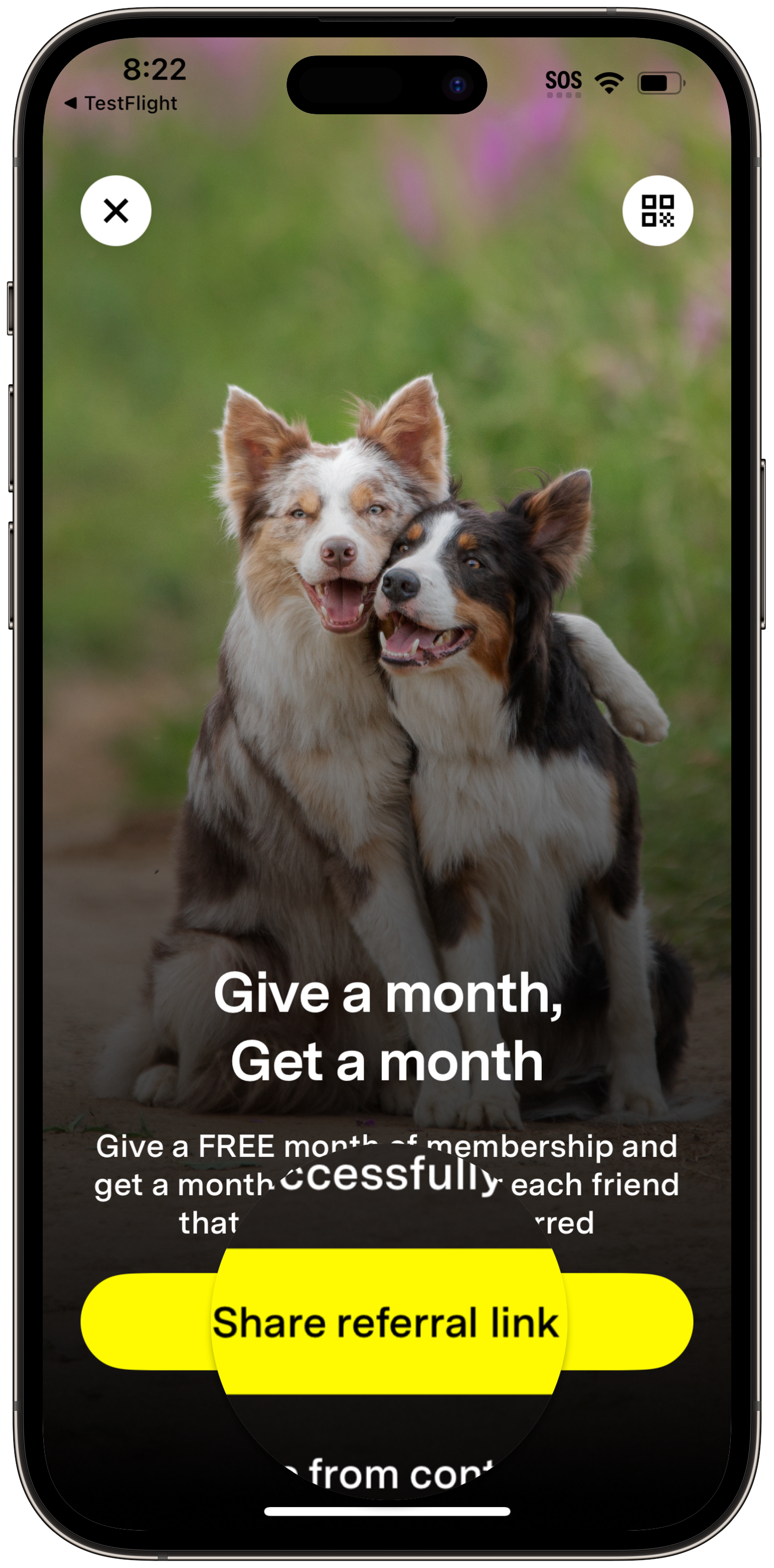 Fi app referral screen with 'Share your referral link' button highlighted