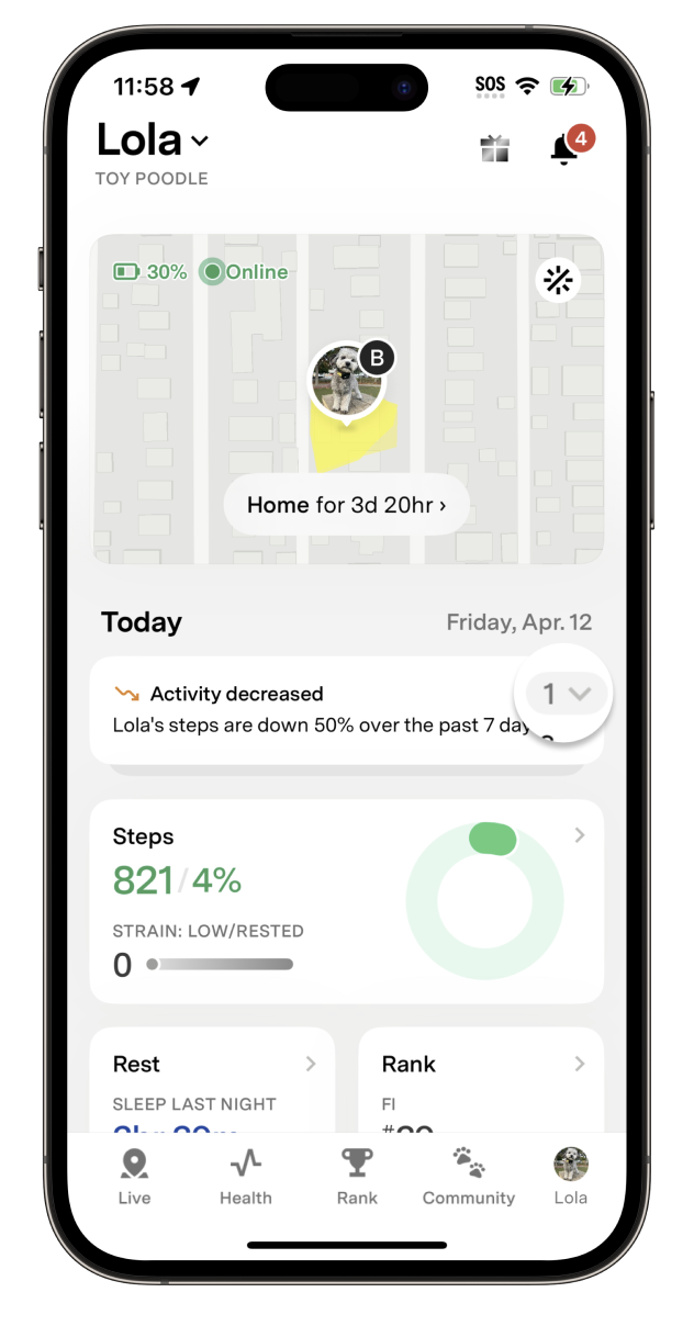Insights Highlighted.png