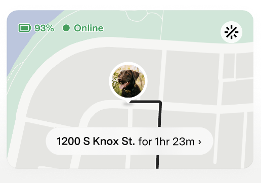 Live map image in Fi App