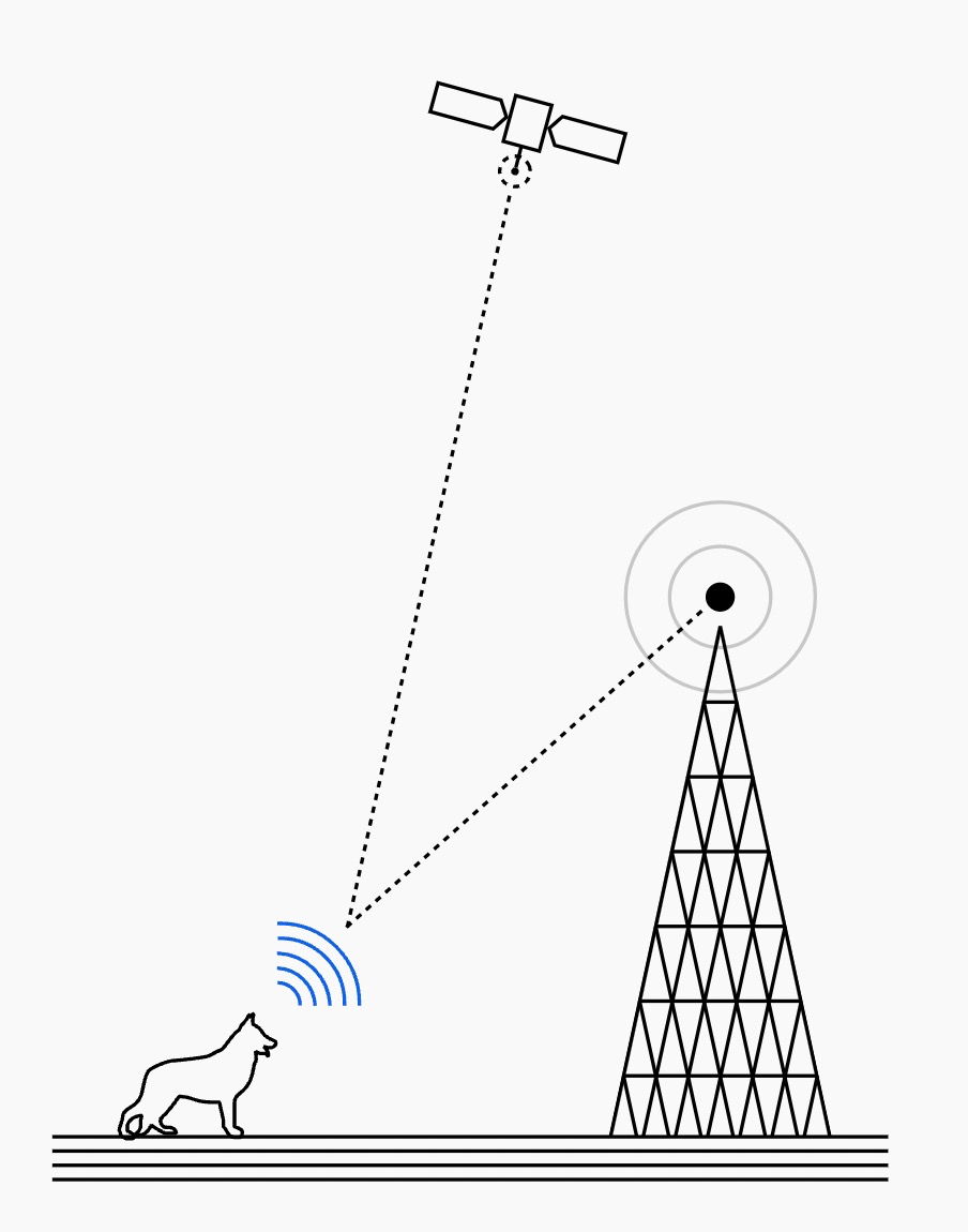 Diagram showing how a Fi device communicates with a GPS satellite and a cellular tower to track a pet's location