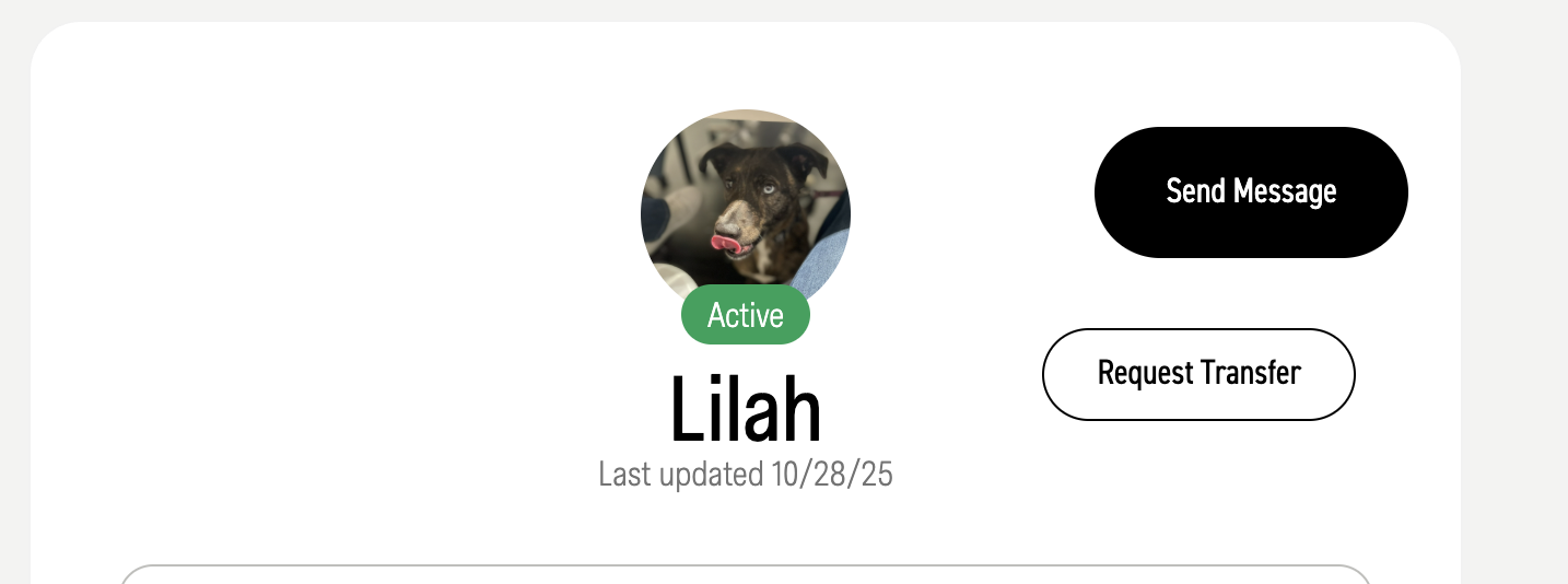 Send message box in Fi Nano interface