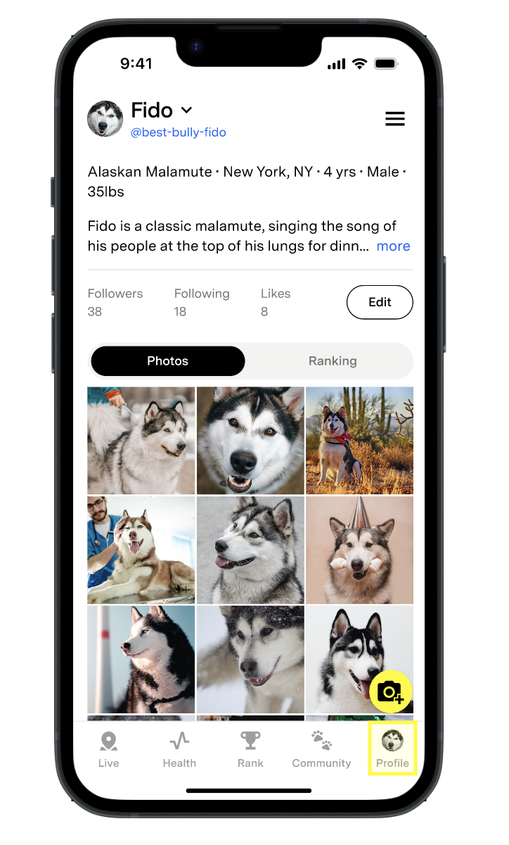 Profile highlighted on bottom corner.png