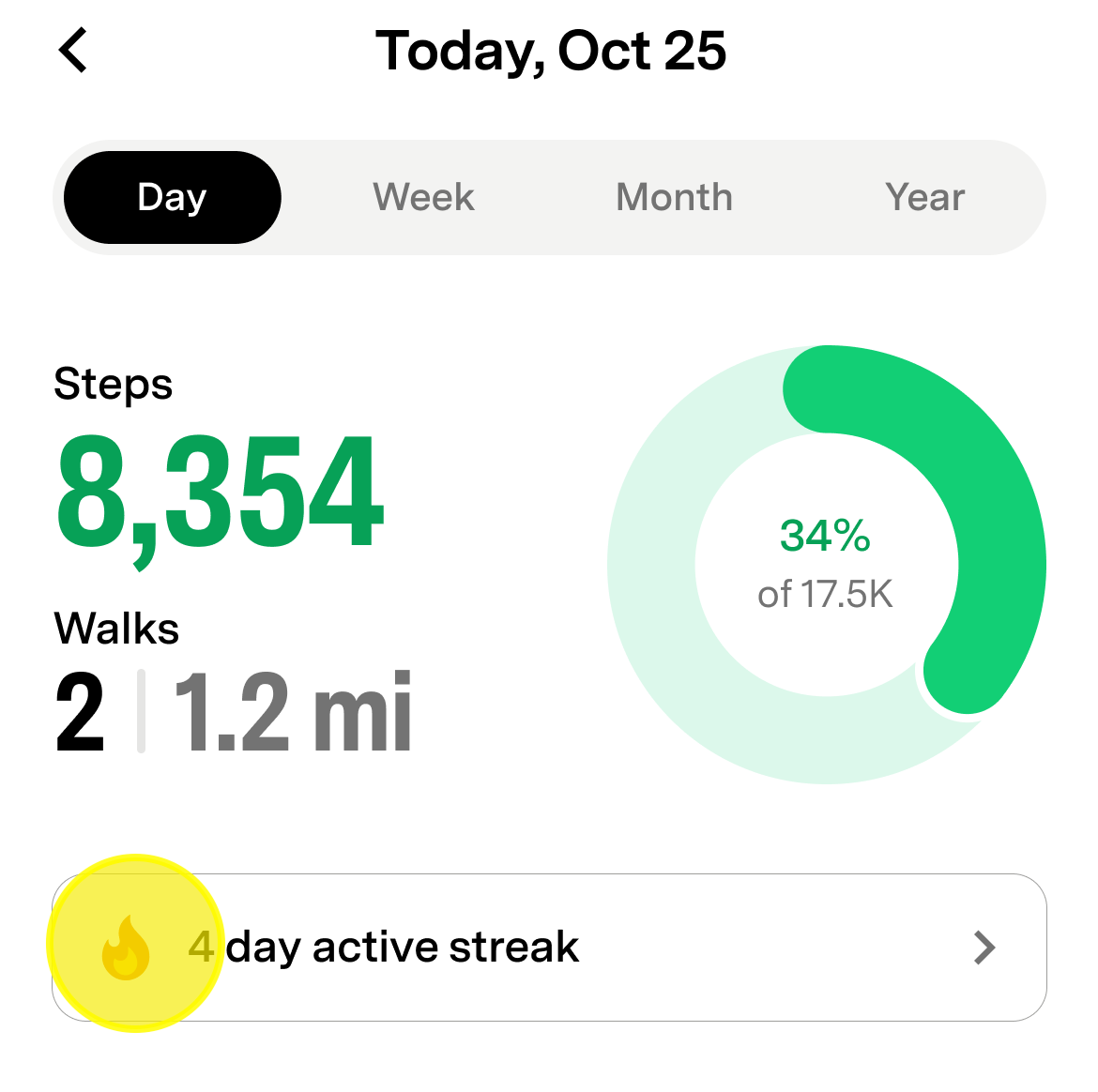 Activity Summary card showing the Streak indicator for consecutive goal completion