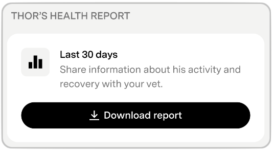 Health Report section on the Vets page showing a Download report button