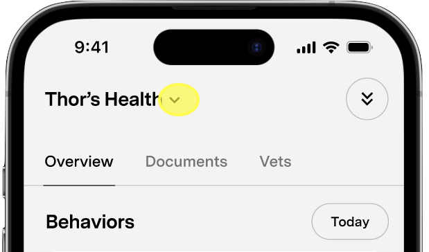 Health Tab header showing the arrow next to the pet's name for switching between Fi Profiles