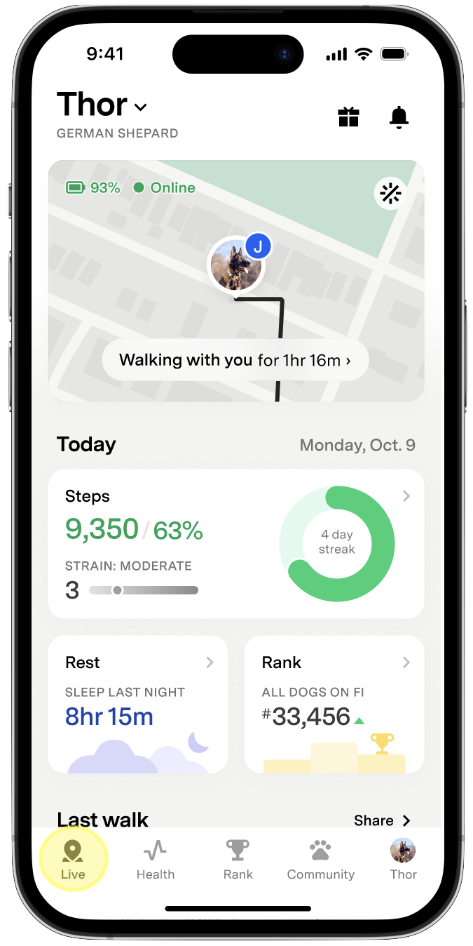 Startbildschirm mit Live-Hervorhebung.png