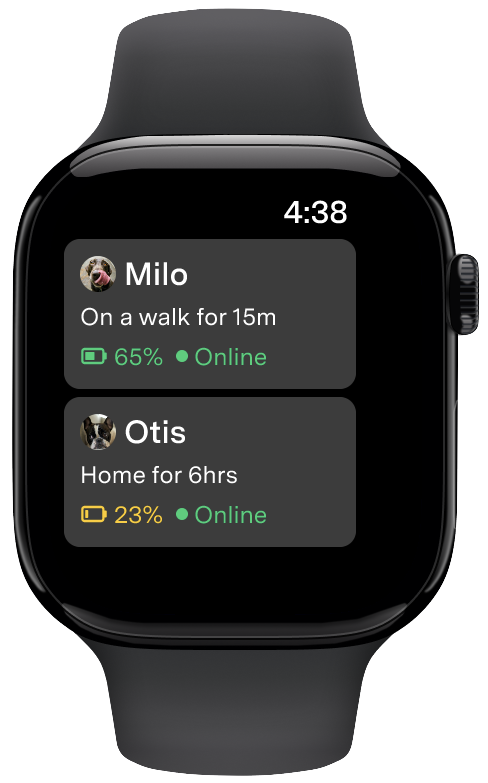 Apple Watch – Erster Bildschirm.png