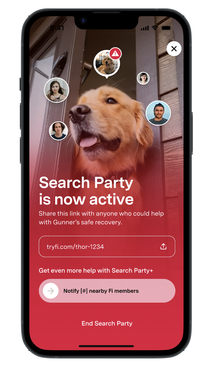 Search Party is now active page