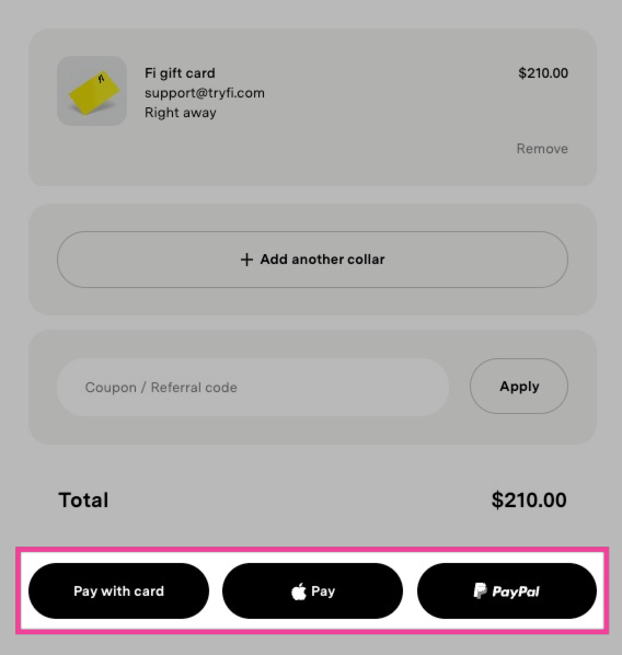 The checkout page showing available payment method options.