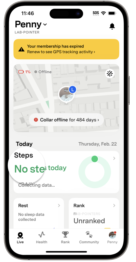 The Fi App Activity Summary screen showing no steps recorded due to no active membership.