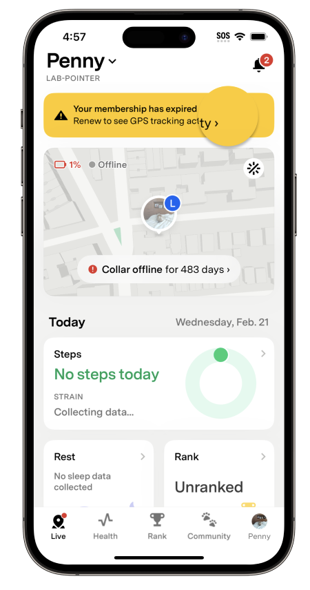 The Fi App Live tab with a membership expiration banner displayed at the top of the screen.