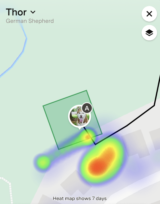 Fi app map view showing a 7-day heat map of activity