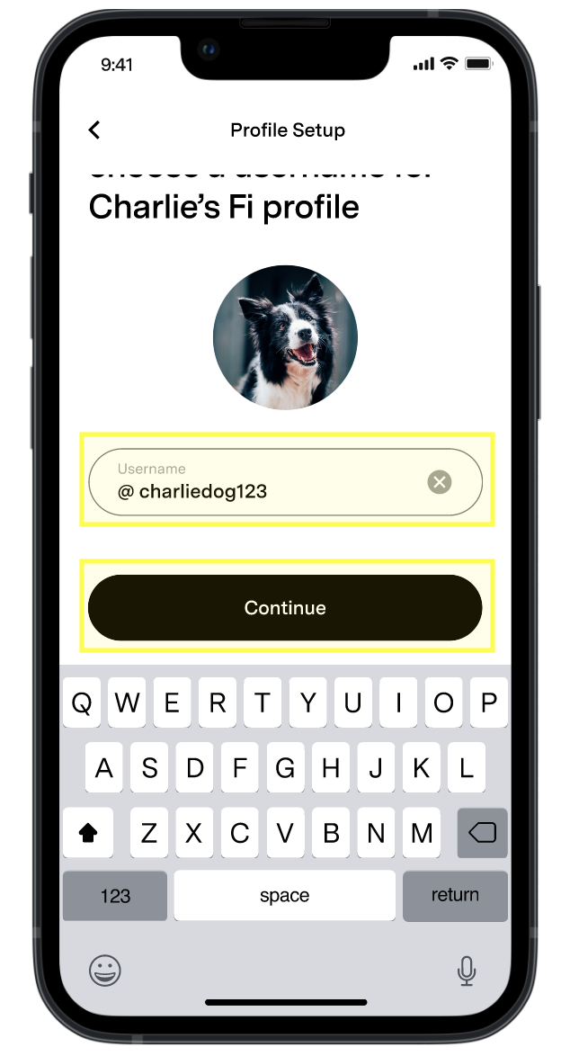 Username and continue highlighted in app