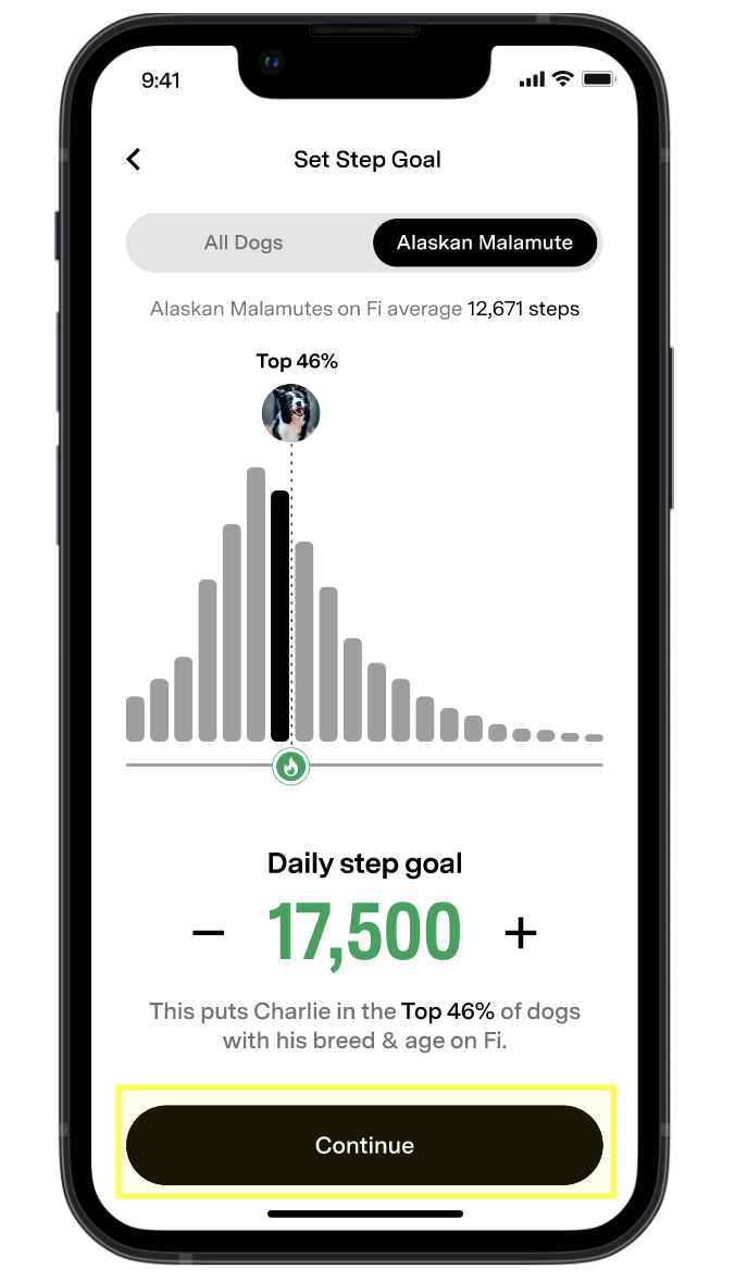 Continue highlighted under daily step goal