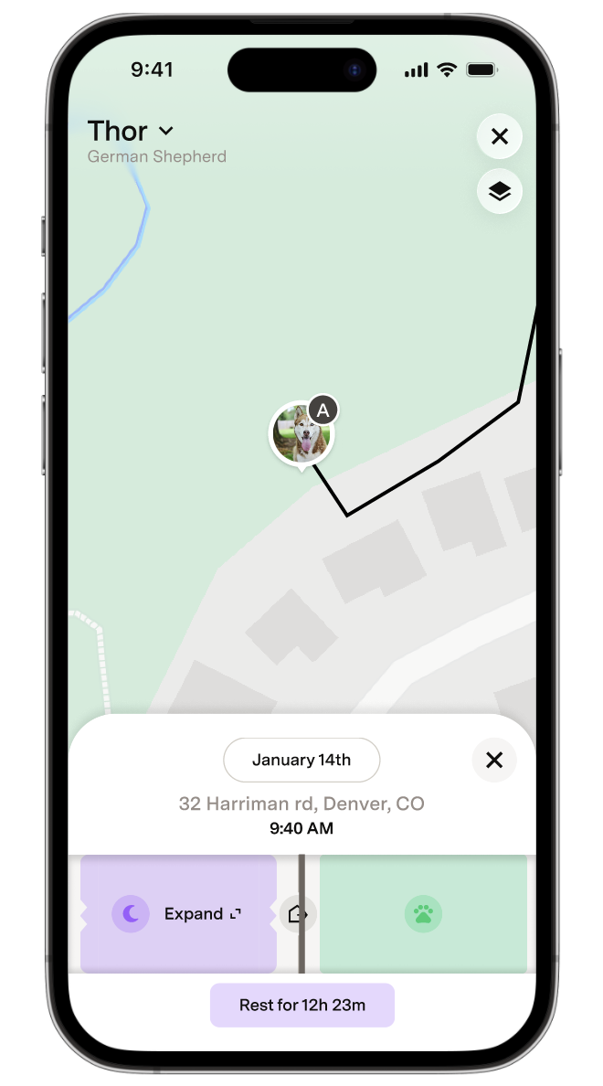 Time Scrubber on Live Map