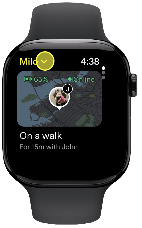 Selectorul de profil pentru animale de companie cu săgeata de lângă numele animalului evidențiat pe Apple Watch