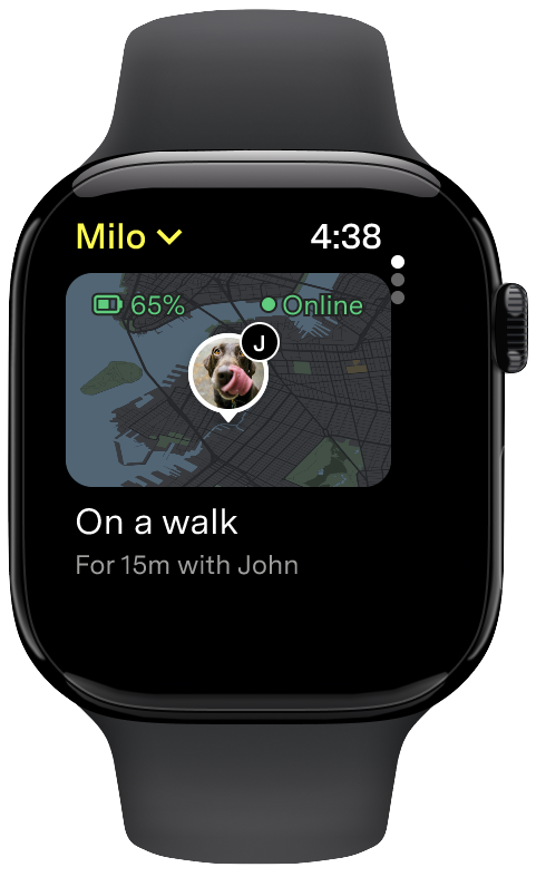 Apple Watch Walk.png