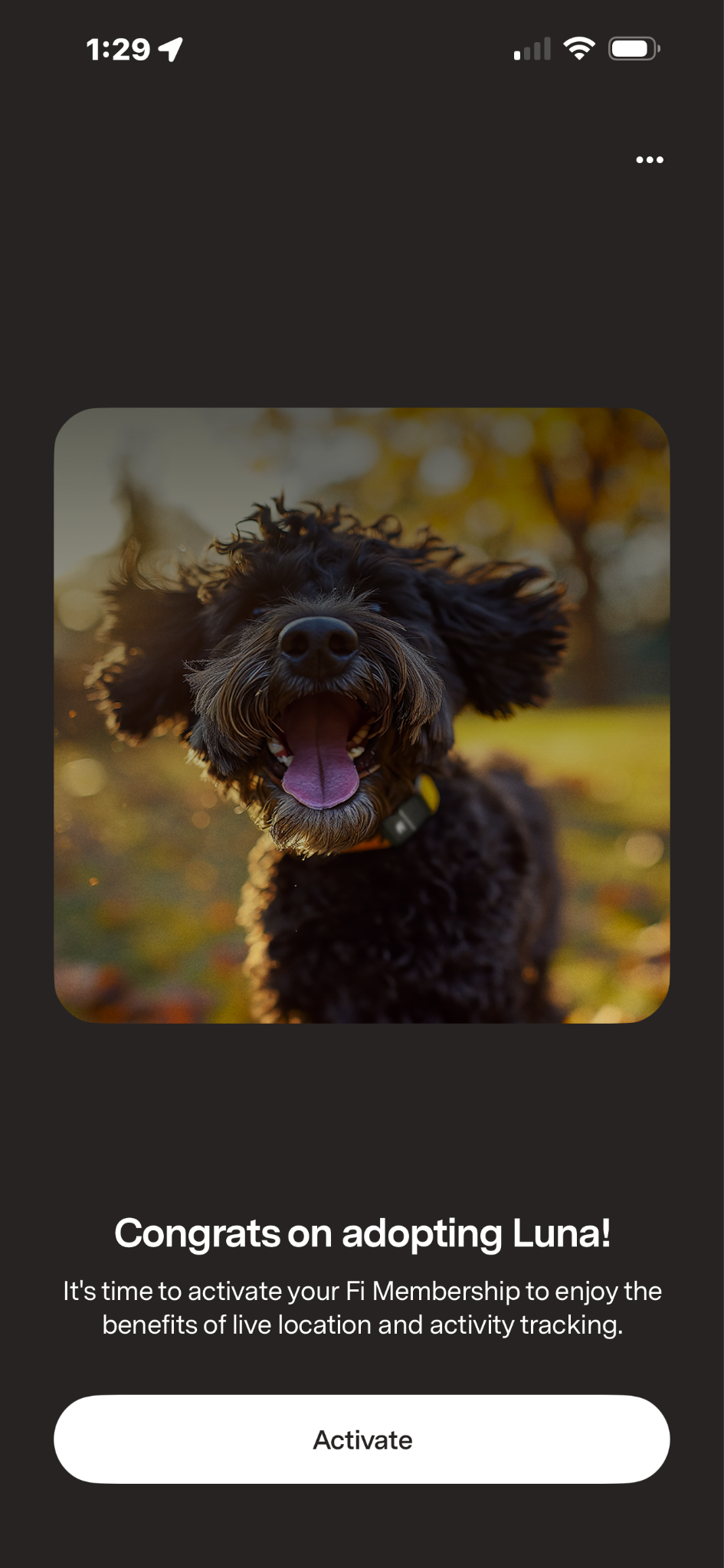 Adopter screen with the button to tap "activate" on the screen