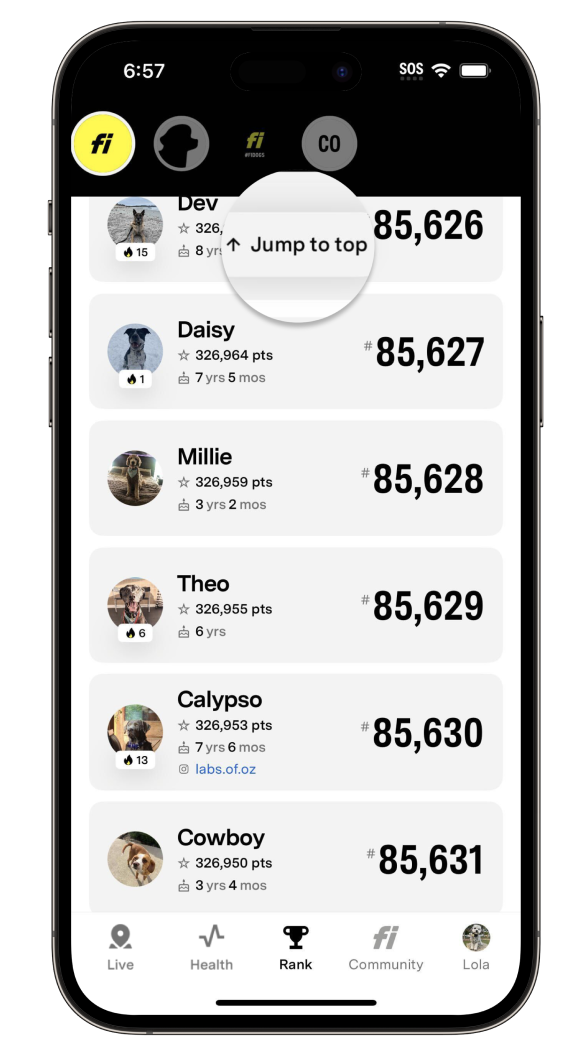 Tabblad Rank met de knop Jump to Top gemarkeerd