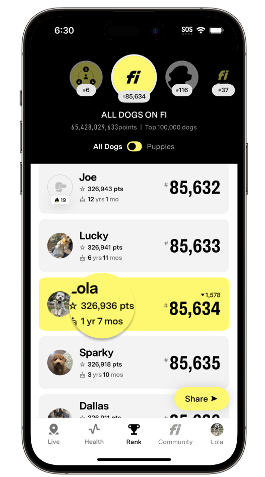 Tabblad Rank met het aantal stappen onder de naam van een hond gemarkeerd