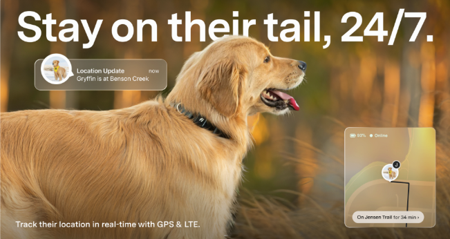 Profile view of a Golden Retriever wearing a Fi Seres 3+ Collar with text overlay "Stay on their tail, 24/7" and samples of Fi GPS features